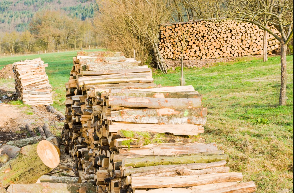 Marketing Digital para Madeireira