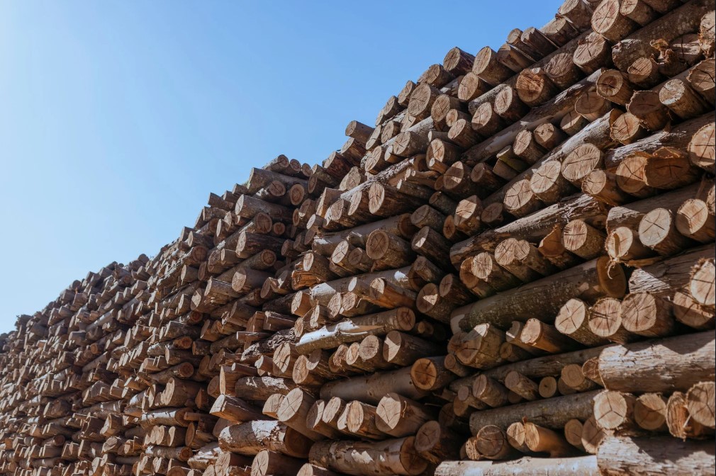 marketing para madeireira